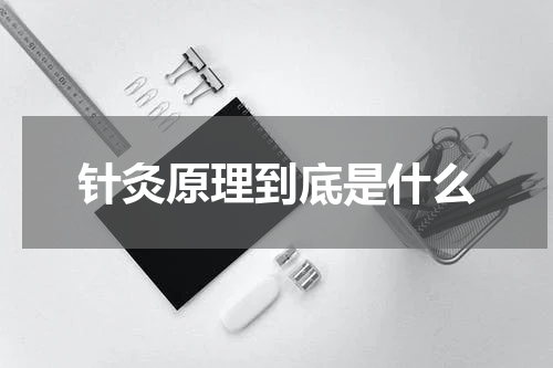 针灸原理到底是什么