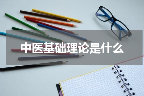 中医基础理论是什么