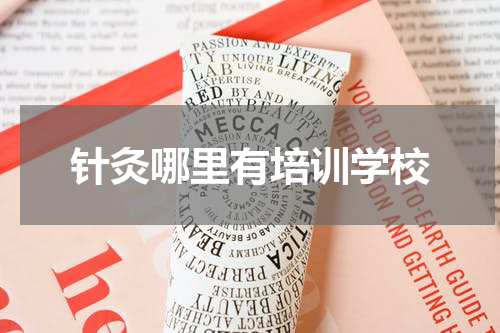 针灸哪里有培训学校