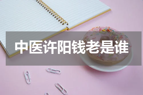 中医许阳钱老是谁