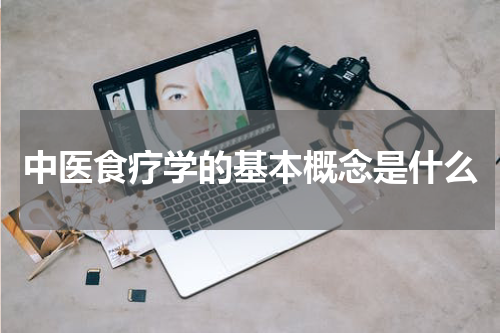 中医食疗学的基本概念是什么