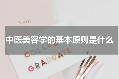 中医美容学的基本原则是什么