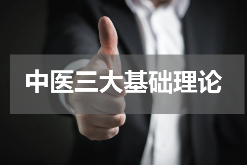 中医三大基础理论