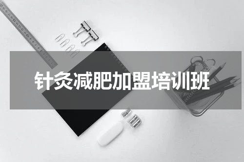 针灸减肥加盟培训班
