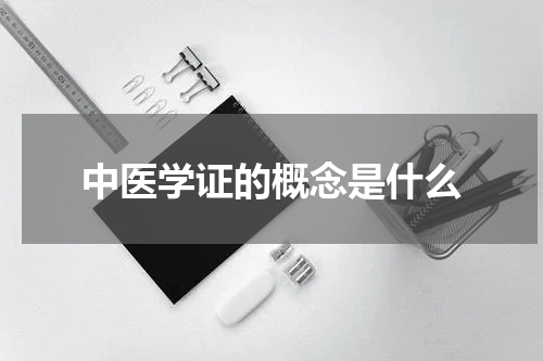 中医学证的概念是什么