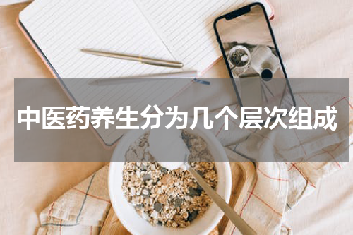 中医药养生分为几个层次组成