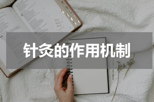 针灸的作用机制