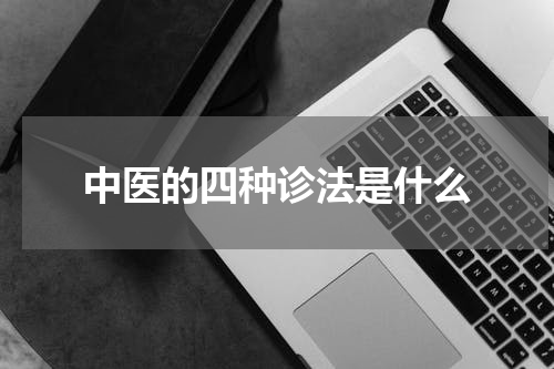 中医的四种诊法是什么