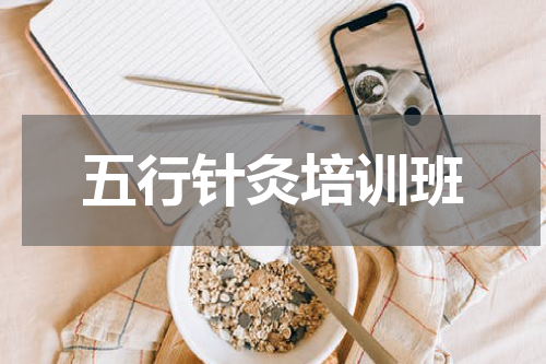 五行针灸培训班
