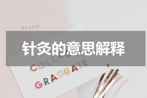 针灸的意思解释