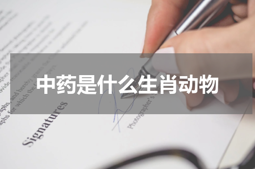 中药是什么生肖动物