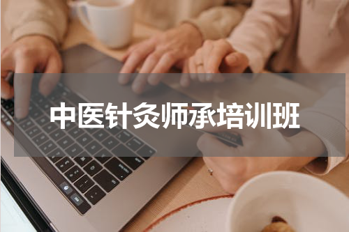 中医针灸师承培训班