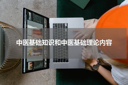 中医基础知识和中医基础理论内容