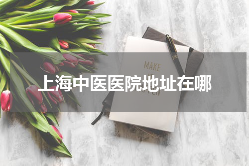 上海中医医院地址在哪