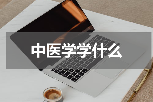 中医学学什么