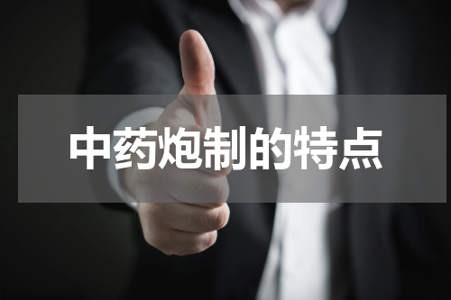 中药炮制的特点