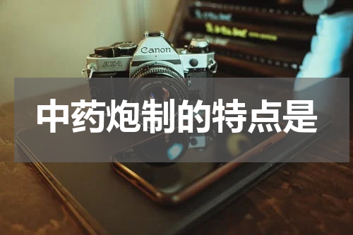 中药炮制的特点是