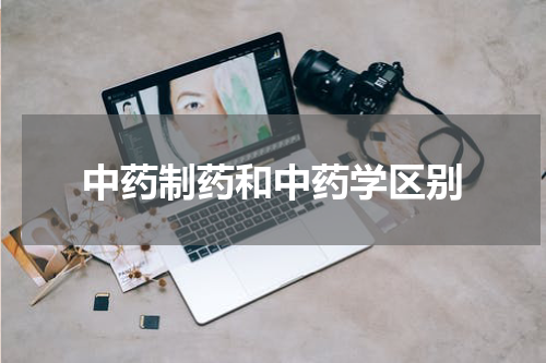 中药制药和中药学区别