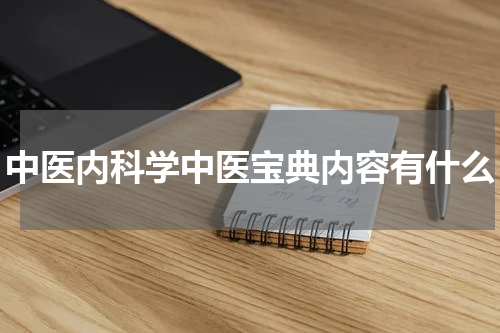中医内科学中医宝典内容有什么