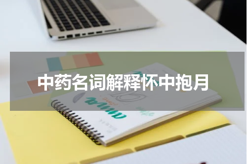 中药名词解释怀中抱月
