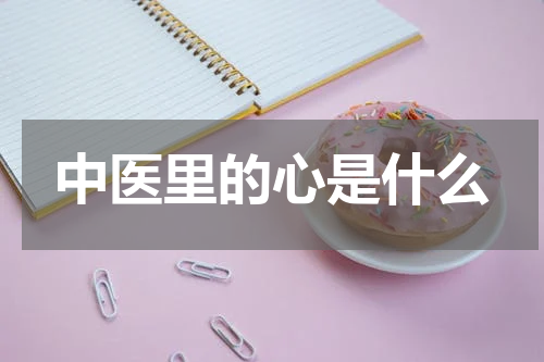 中医里的心是什么