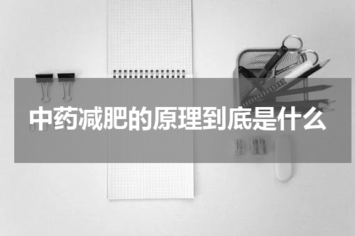 中药减肥的原理到底是什么