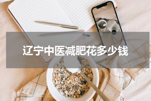 辽宁中医减肥花多少钱