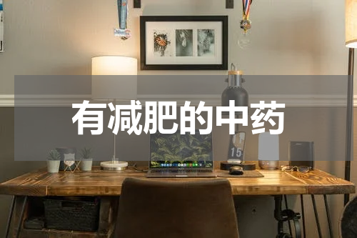 有减肥的中药