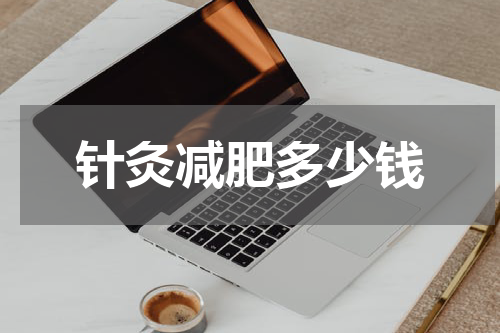 针灸减肥多少钱