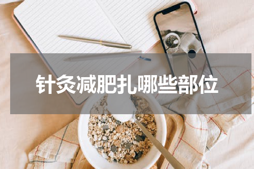 针灸减肥扎哪些部位