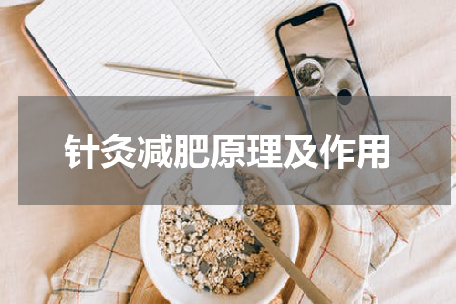针灸减肥原理及作用