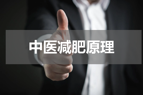 中医减肥原理