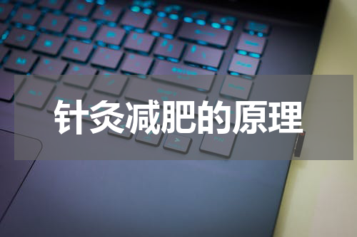 针灸减肥的原理