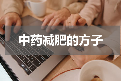 中药减肥的方子