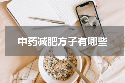 中药减肥方子有哪些