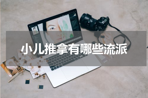 小儿推拿有哪些流派