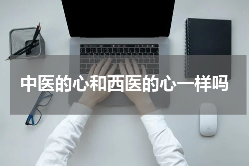 中医的心和西医的心一样吗