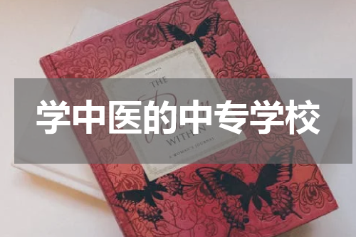 学中医的中专学校