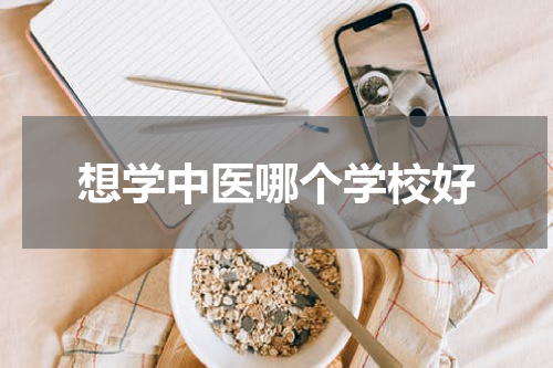 想学中医哪个学校好