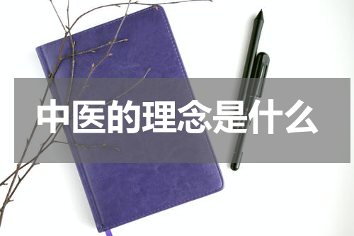 中医的理念是什么