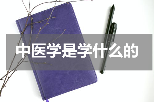 中医学是学什么的