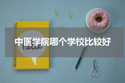 中医学院哪个学校比较好