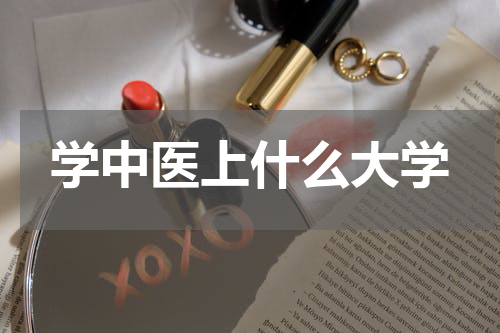 学中医上什么大学