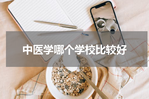 中医学哪个学校比较好