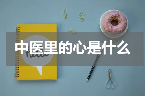 中医里的心是什么
