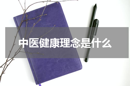 中医健康理念是什么