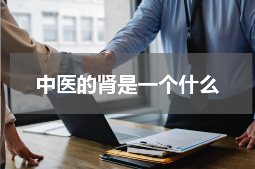 中医的肾是一个什么