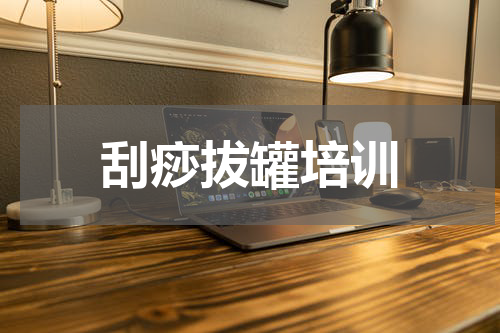 刮痧拔罐培训