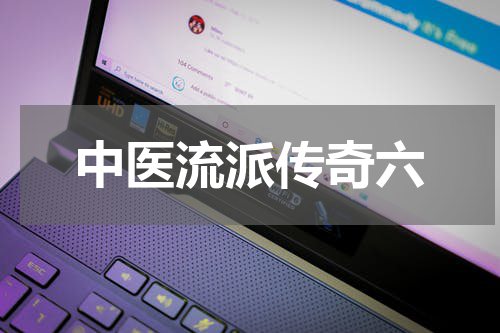 中医流派传奇六