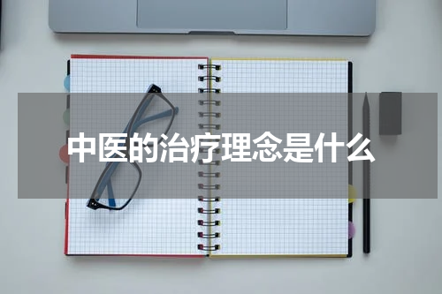 中医的治疗理念是什么